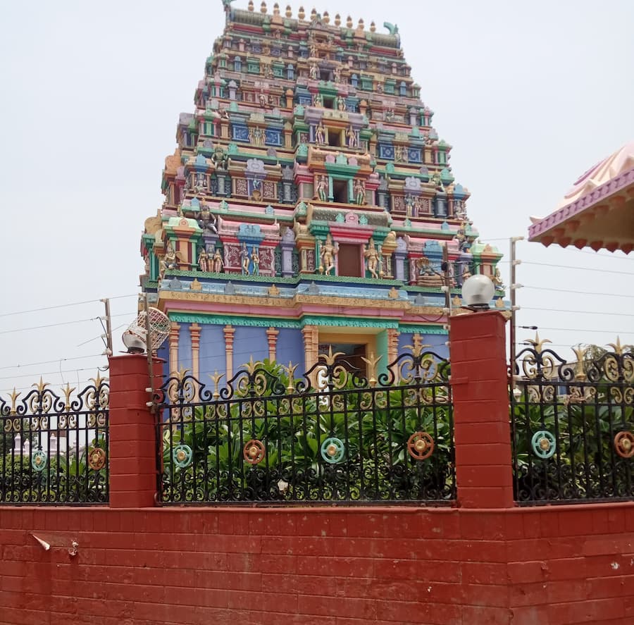 वृन्दावन में घुमने की जगहे नया रंगजी मंदिर